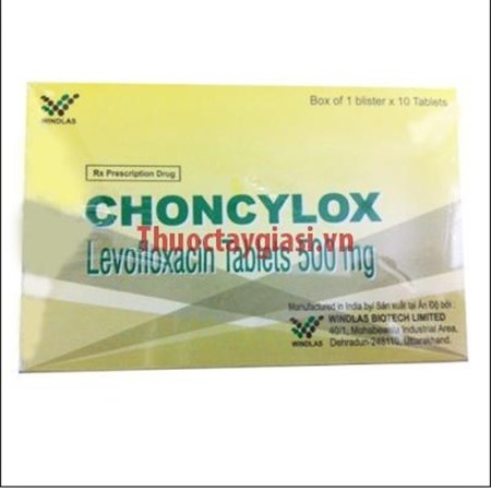 Choncylox là thuốc chữa bệnh gì, có tác dụng gì, giá bán bao nhiêu?
