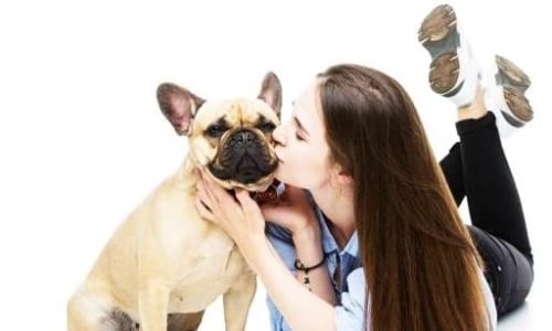 Tại sao phụ nữ thích quan hệ với chó