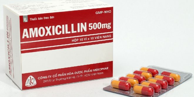 Amoxicillin 500mg là thuốc chữa bệnh gì, có tác dụng gì, giá bán bao nhiêu?