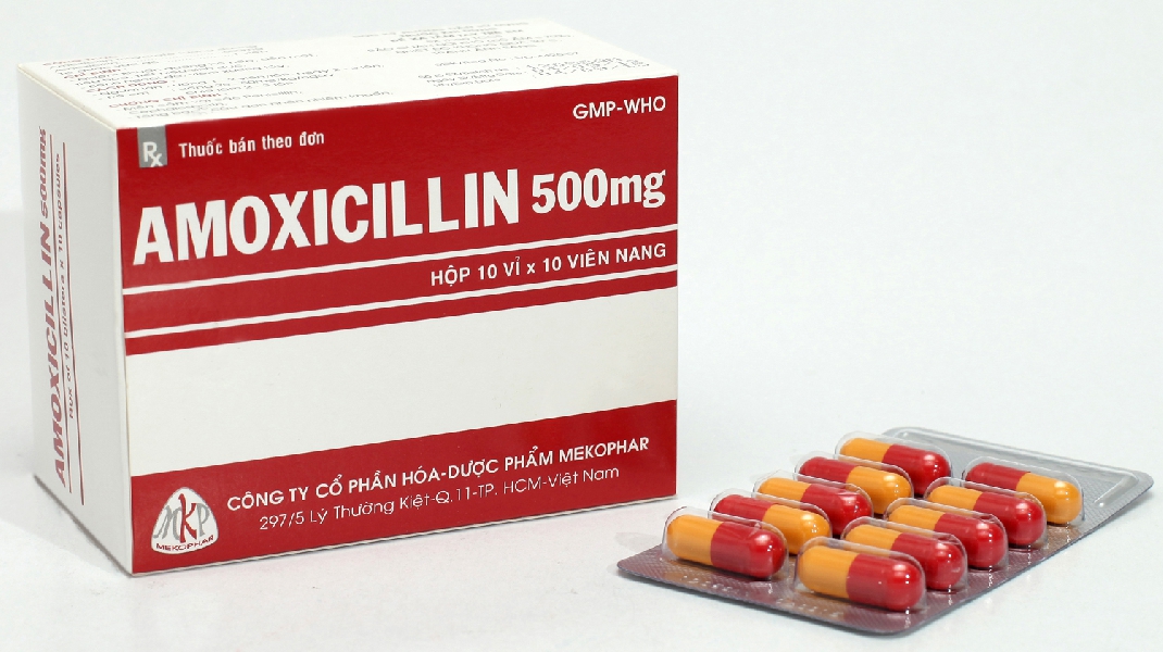 Amoxicillin 500mg là thuốc chữa bệnh gì, có tác dụng gì, giá bán bao nhiêu?