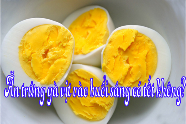 Ăn trứng gà vịt vào buổi sáng có tốt không?